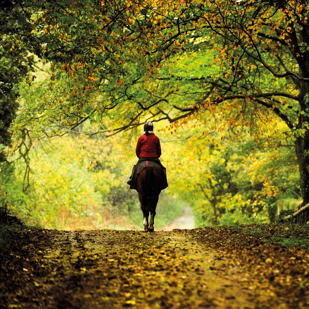 Horse Rider Countryside Blank Card