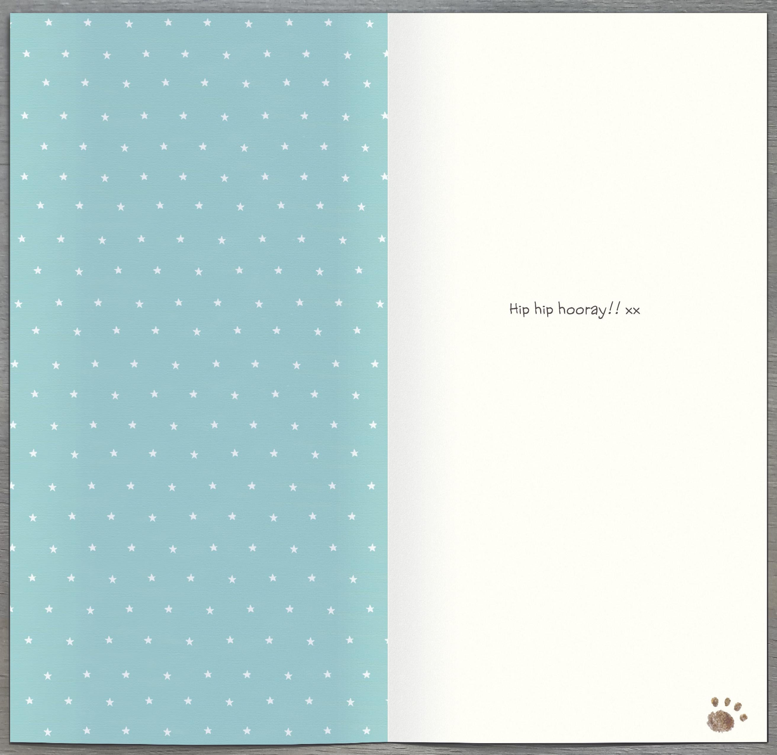 Inside of Congratulations! Popping Cork Greetings Card