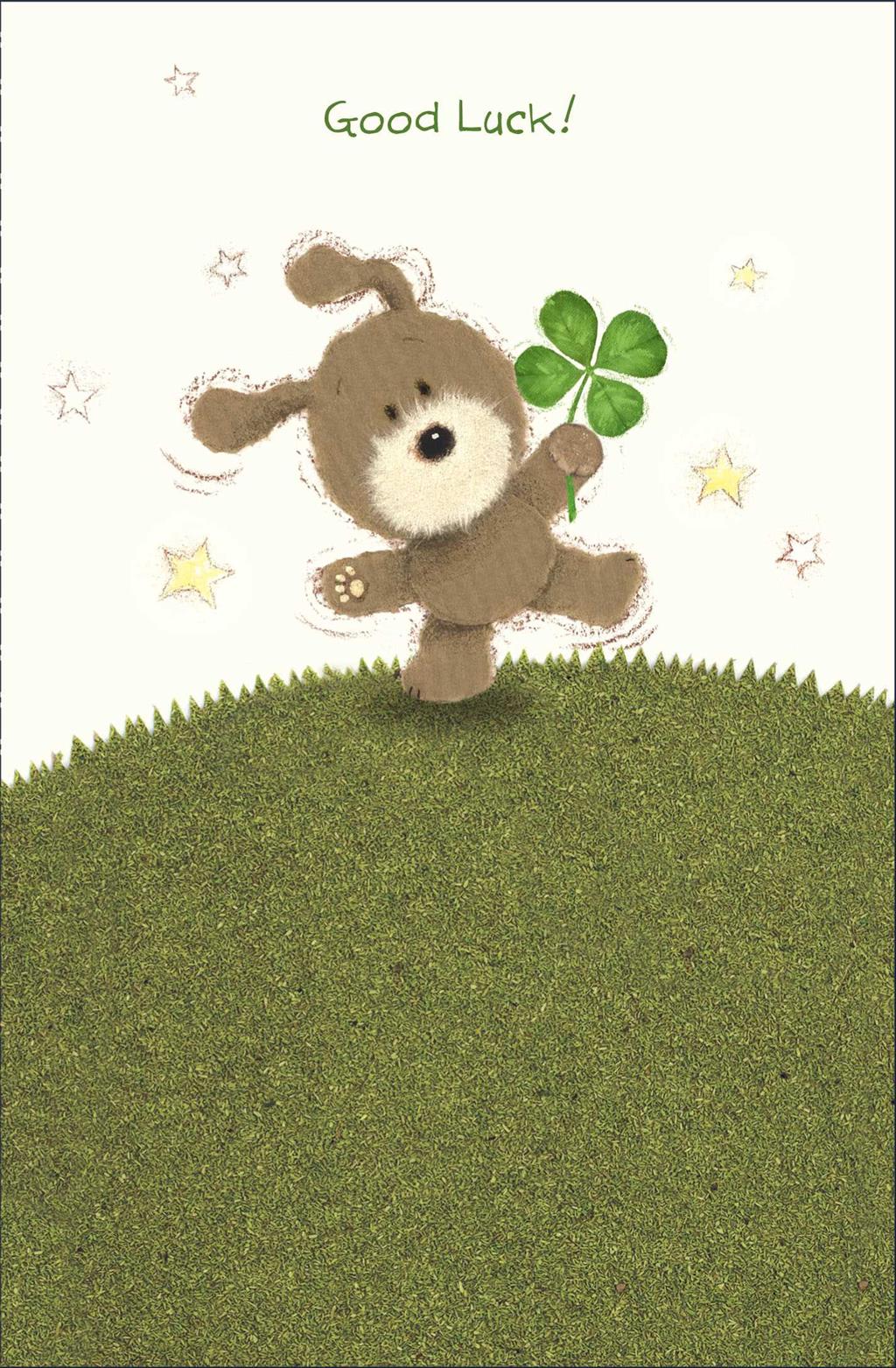 Front of Good Luck! Fluffy Dog Celebrate Greetings Card