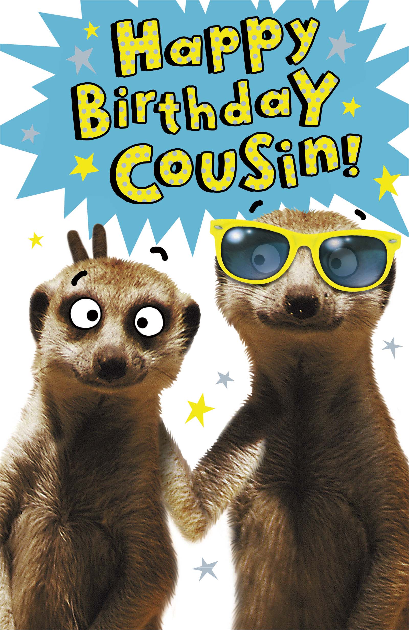 Front of Birthday Cousin Cool Meerkats Funny Greetings Card