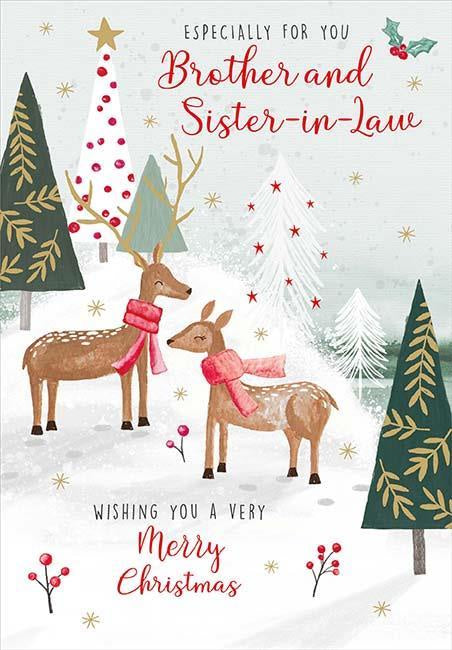 Brother & Sister In Law Deer In Scarves EXE417 Card