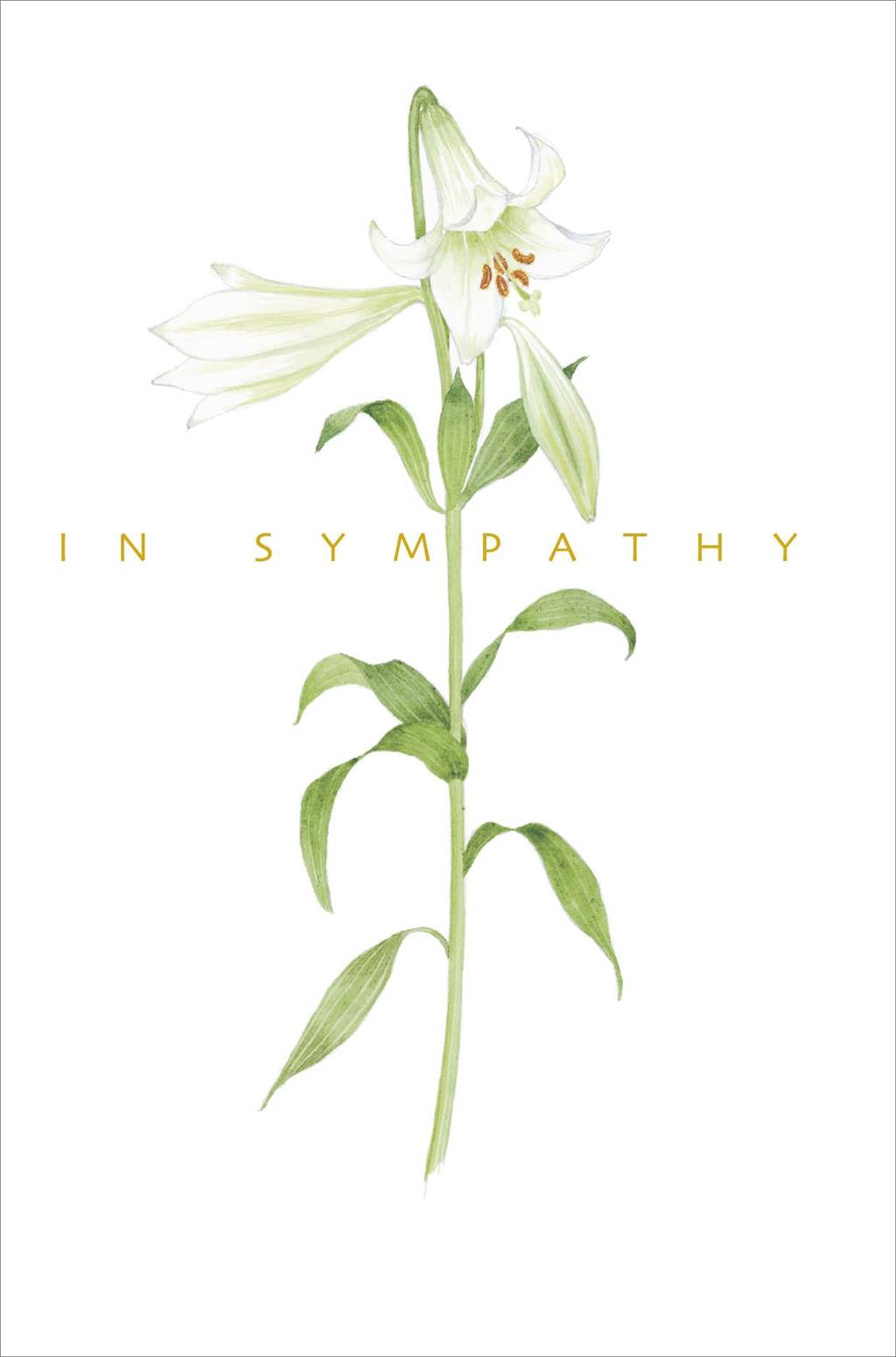 Front of In Sympathy To You & Family Greetings Card