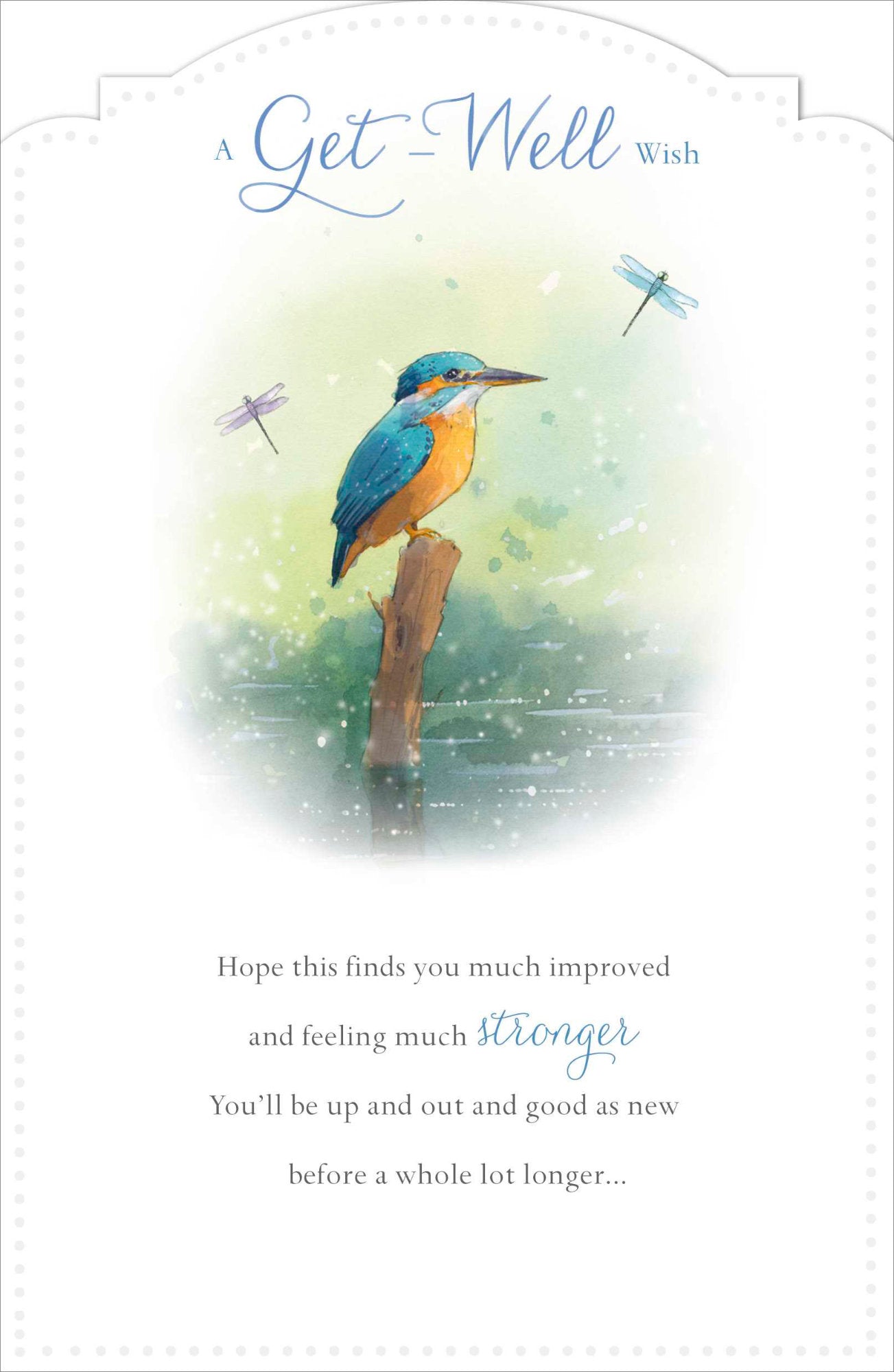 Front of Get Well Wish Kingfisher Dragonflies Card