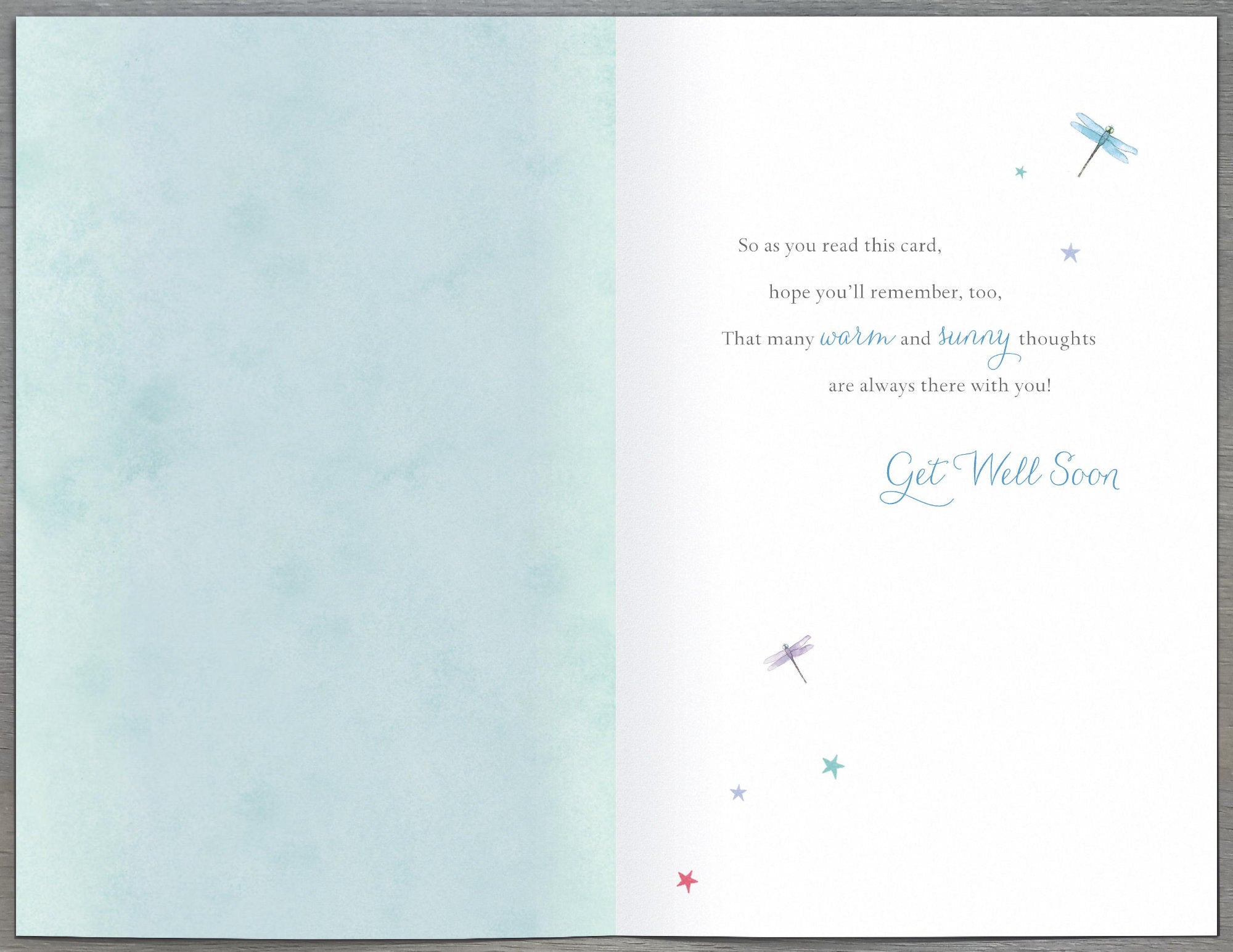 Inside of Get Well Wish Kingfisher Dragonflies Card