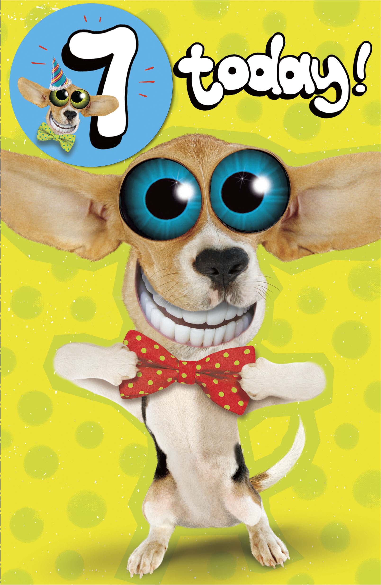 Front of 7 Today Dog Eyes Popping Bowtie Birthday Greetings Card