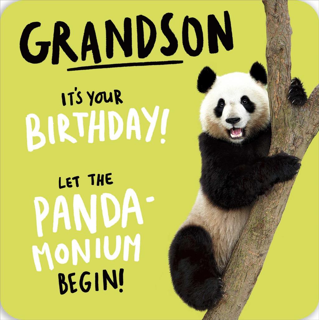 Front of Birthday Grandson Panda Greetings Card