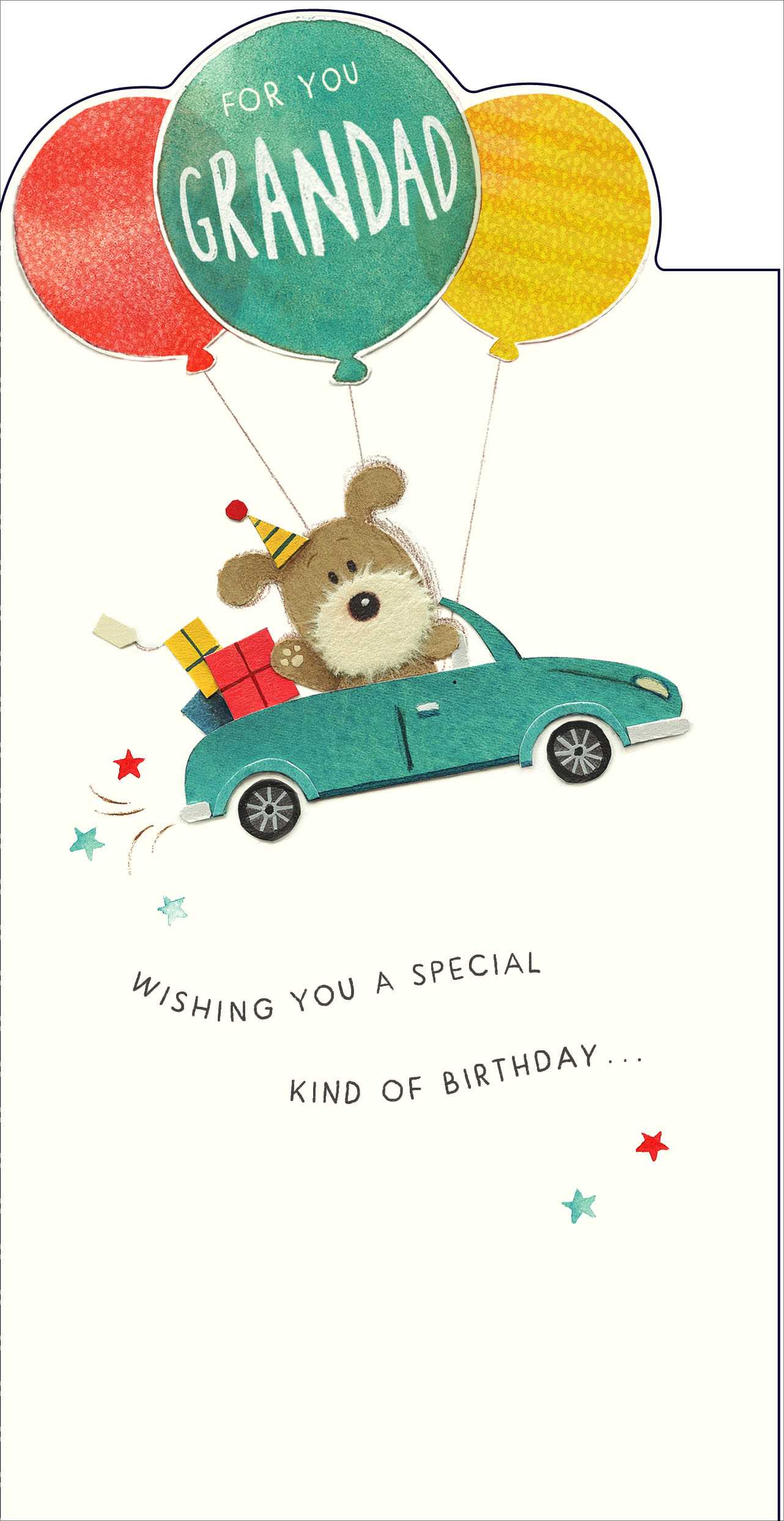 Front of Grandad Special Kind of Birthday Greetings Card