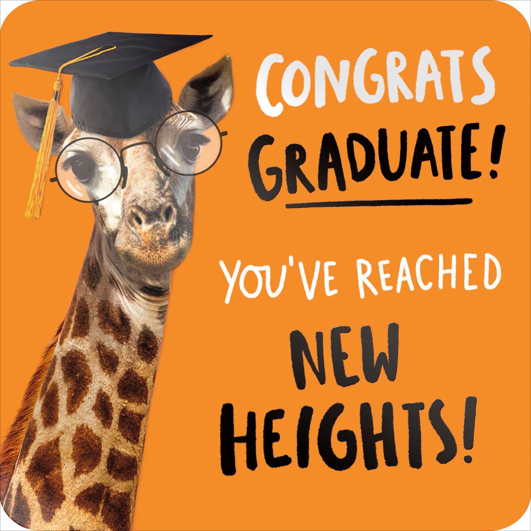 Congrats Graduate New Heights Card