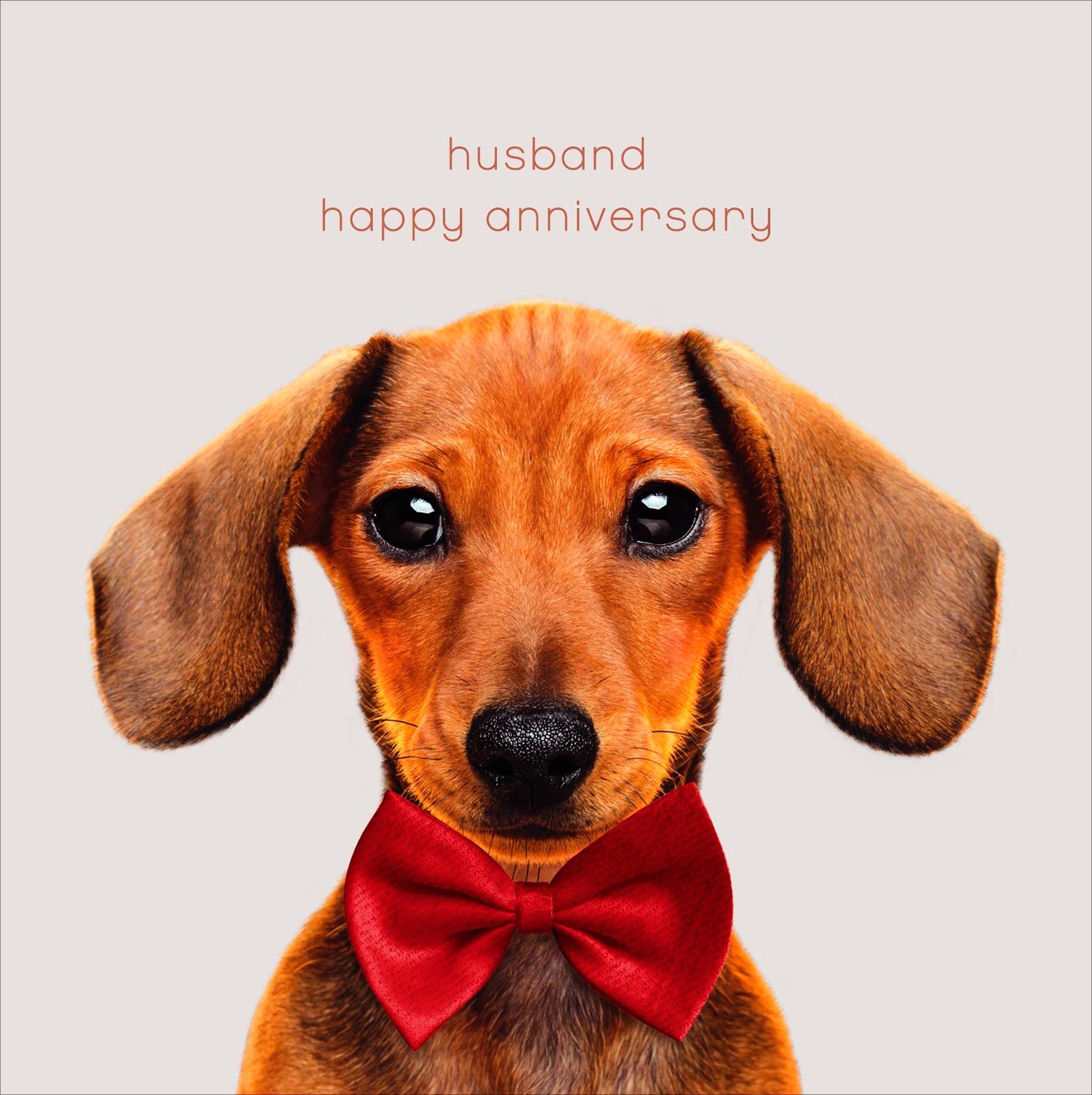 Anniversary Husband Eyes for You Card