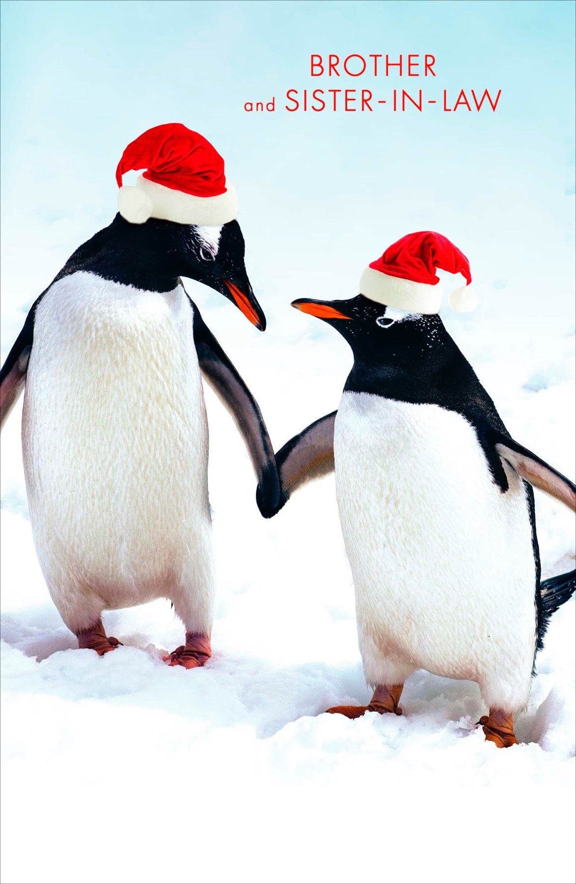 Brother & Sister In Law 616940 Xmas Card