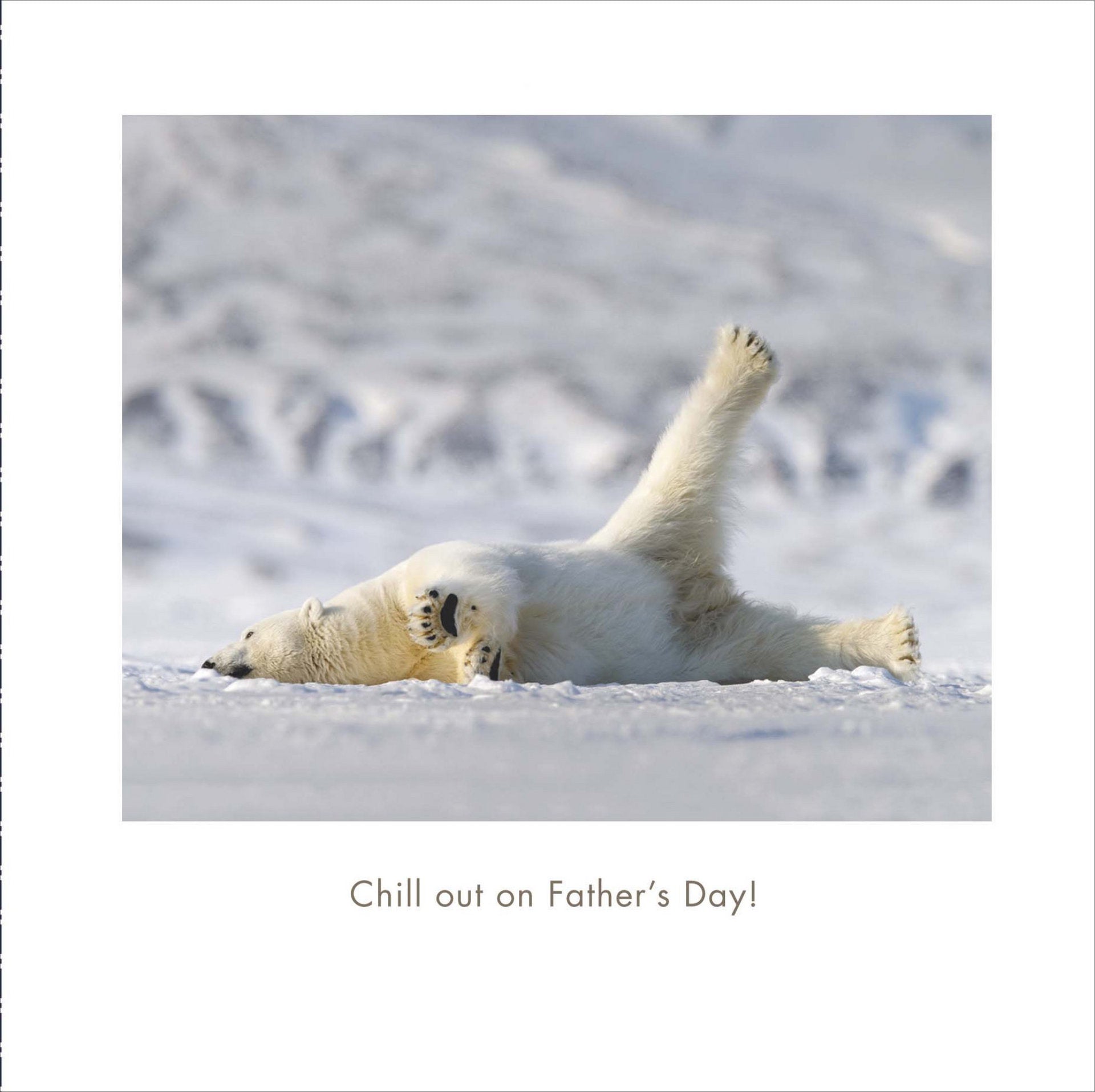 Front of Chill Out Polar Bear Card