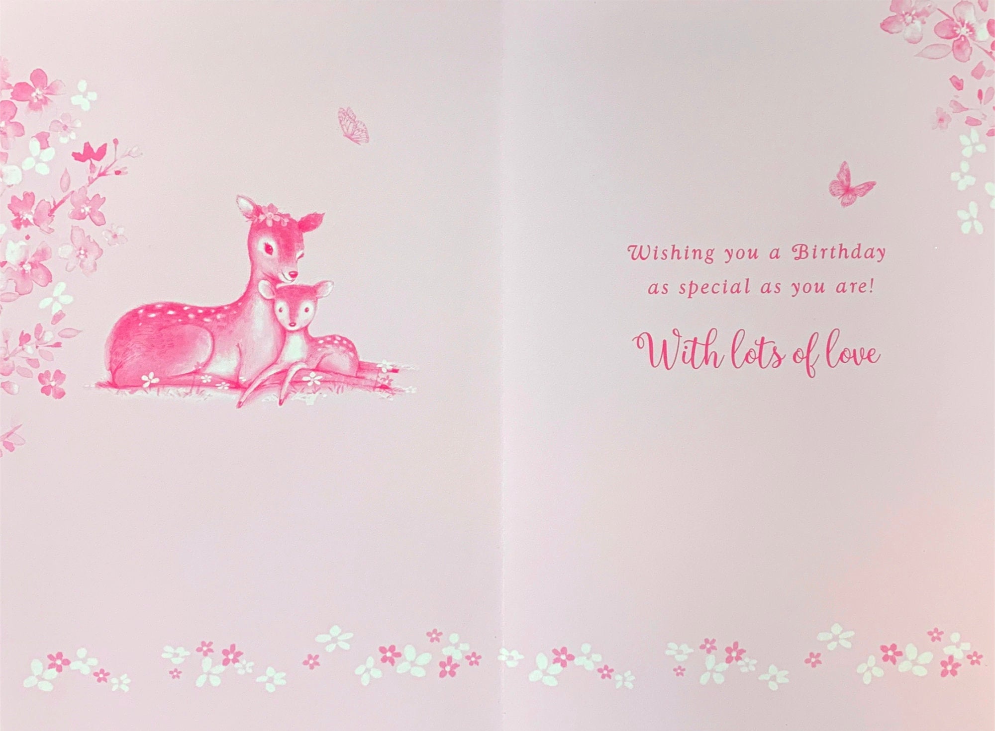 Inside of Special Nan Birthday Deers Card