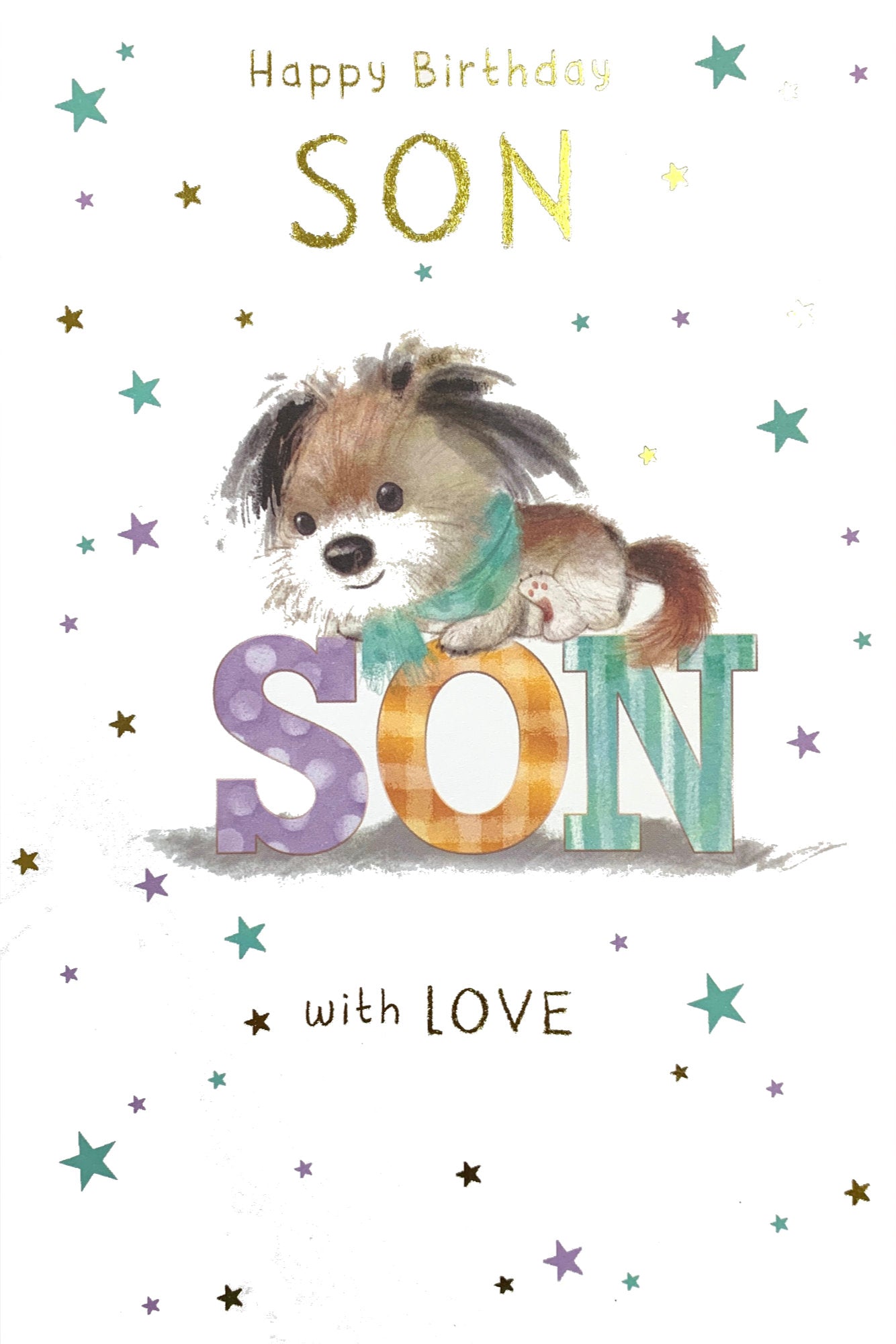 Front of Son Birthday Fab Dog Lying Card