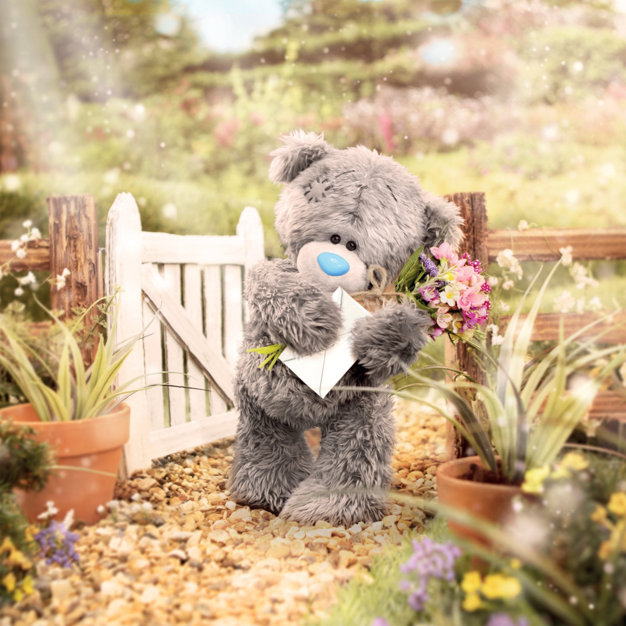 Photograph of Open Bear Holding Envelope Greetings Card at Nicole's Shop