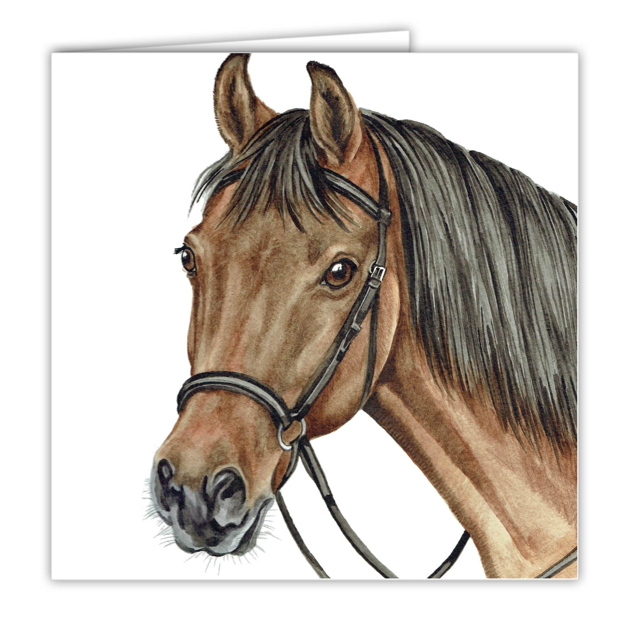 Bay Horse Blank Card