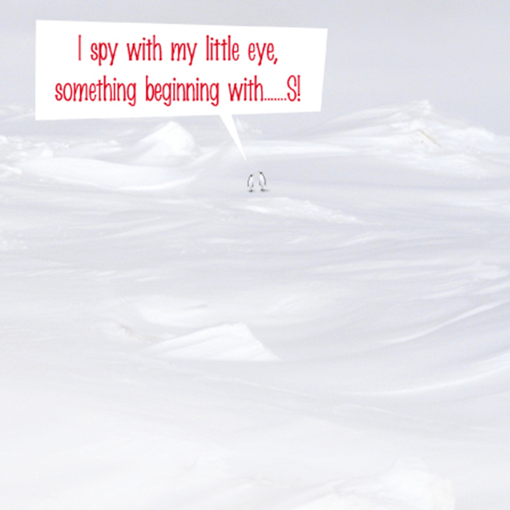 Photograph of I Spy Funny Birthday Greetings Card at Nicole's Shop
