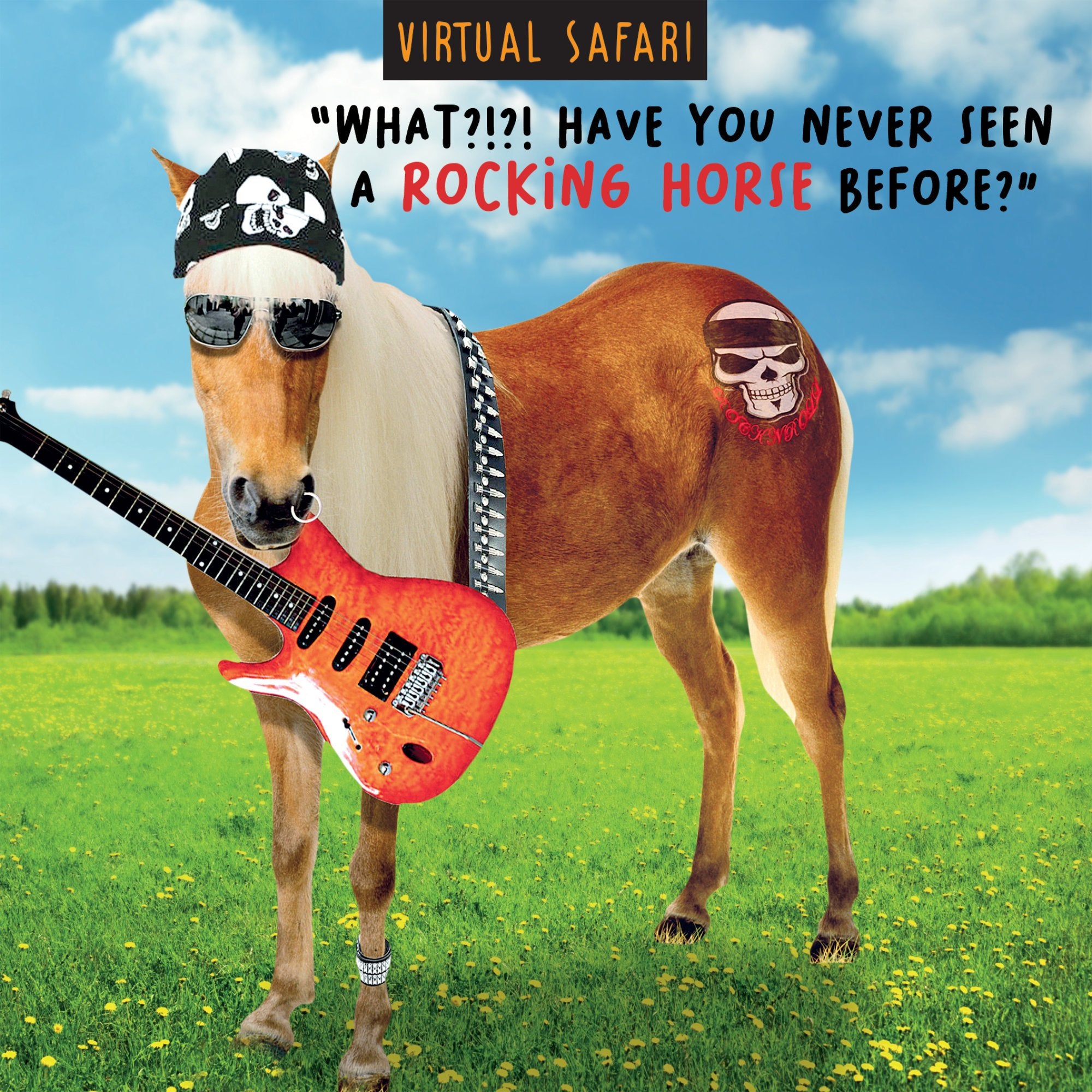 Photograph of Horse Funny Birthday Greetings Card at Nicole's Shop