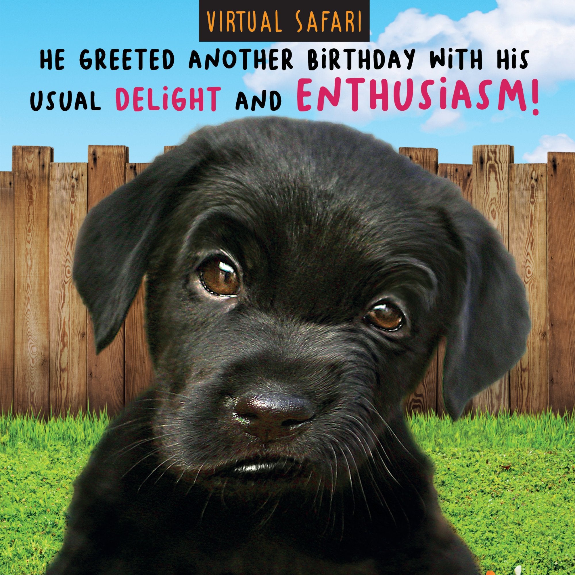 Photograph of Delight Funny Birthday Greetings Card at Nicole's Shop
