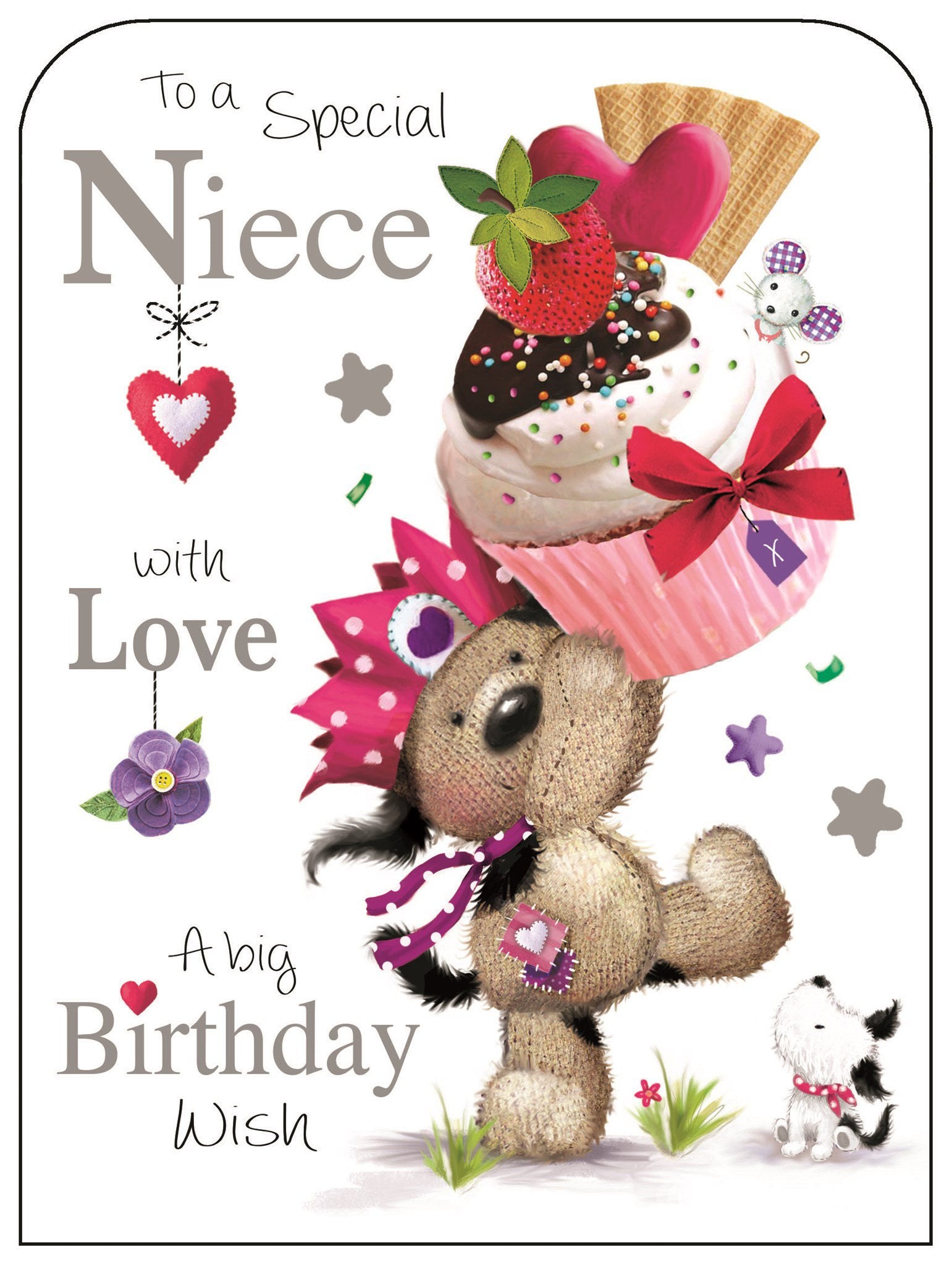 Front of Special Niece Birthday Cute Greetings Card