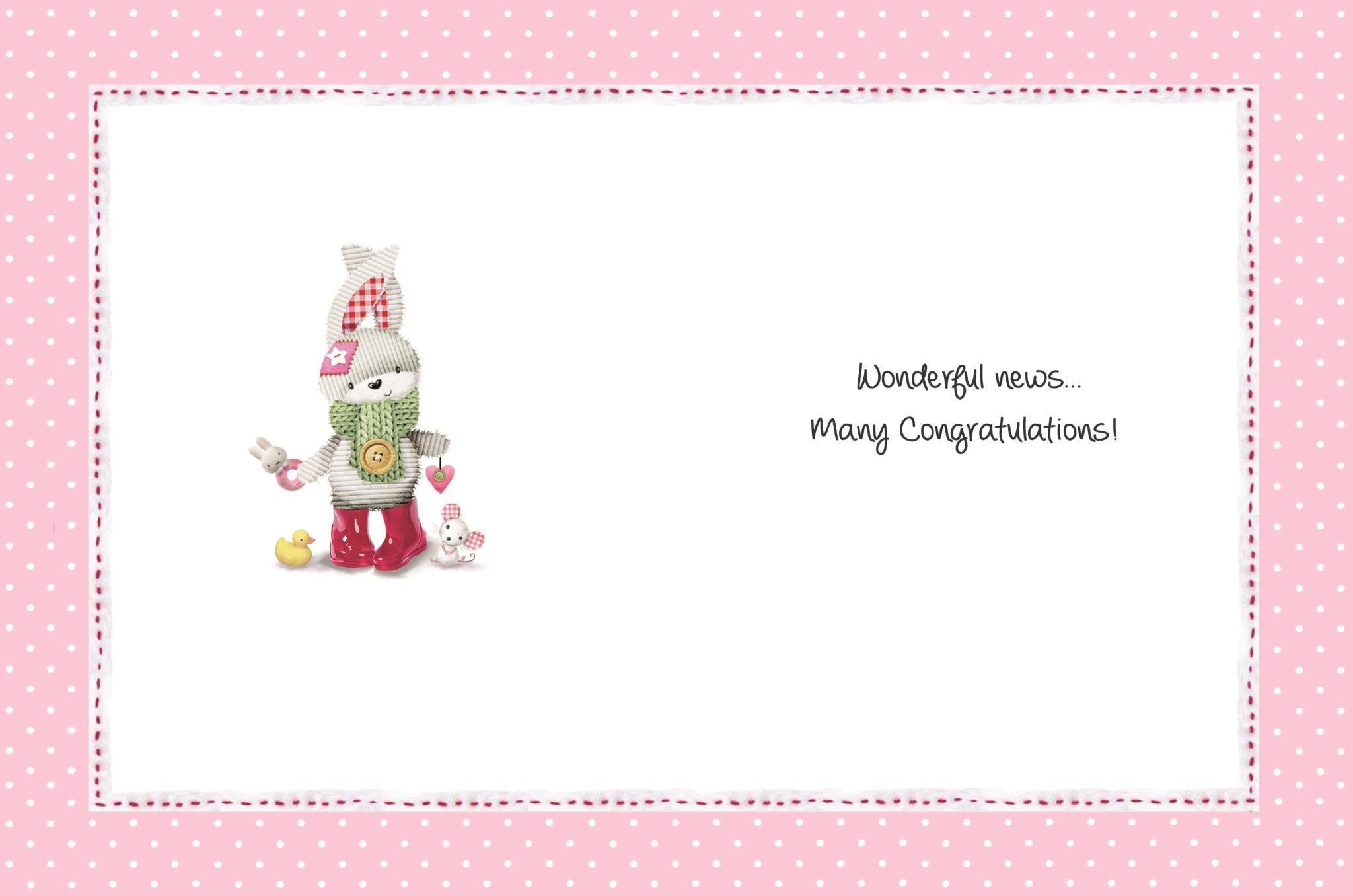 Inside of New Great Granddaughter Cute Greetings Card