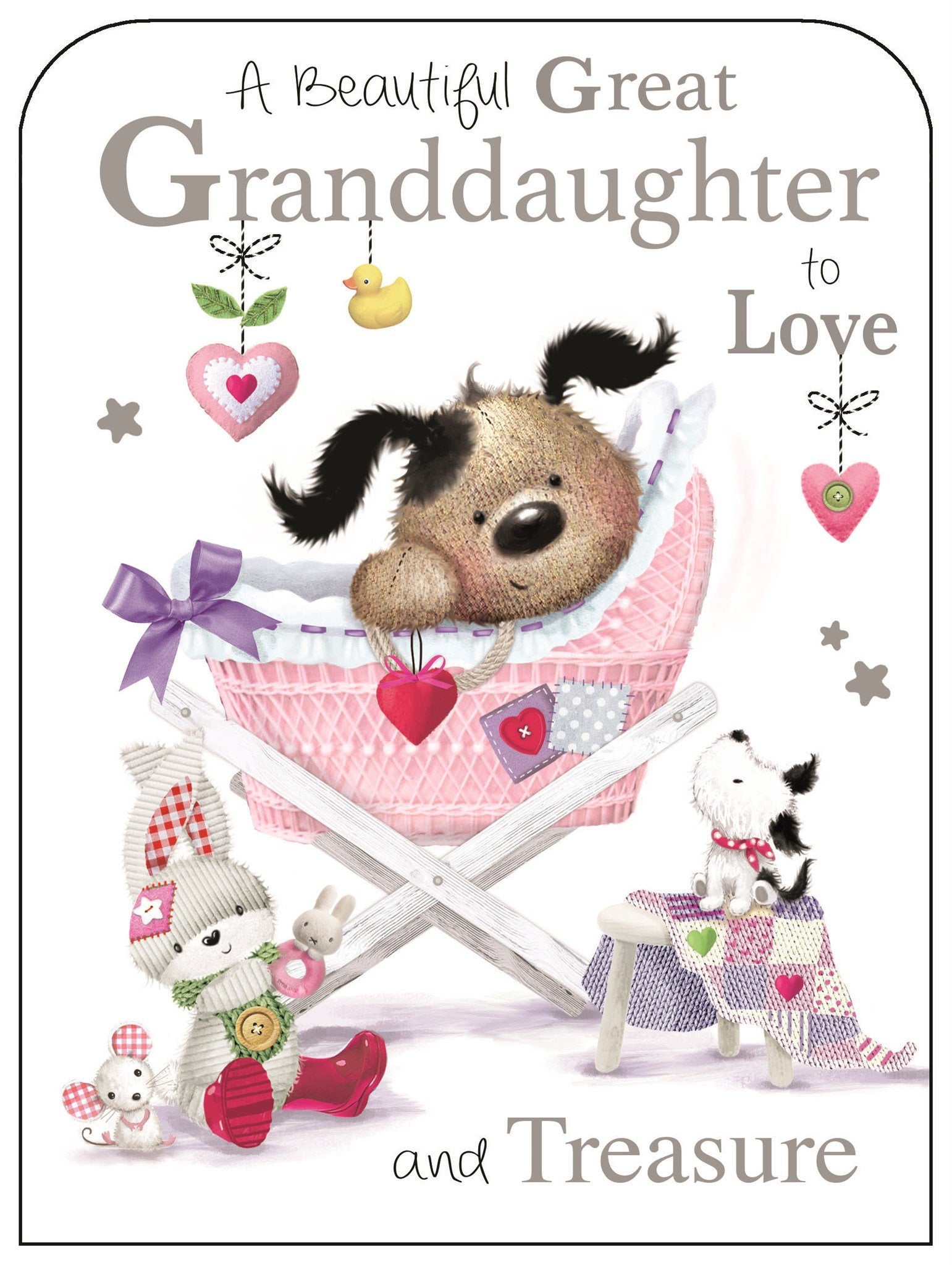 Front of New Great Granddaughter Cute Greetings Card