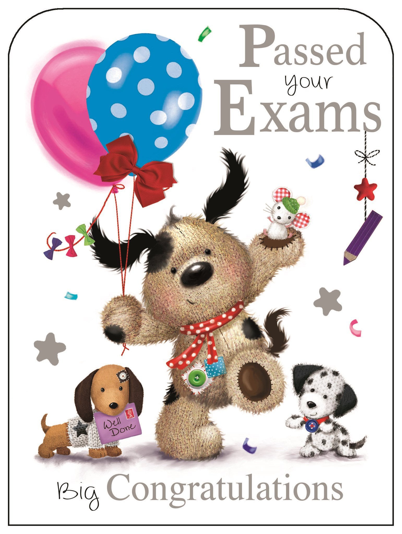 Front of Passed Your Exams Cute Greetings Card