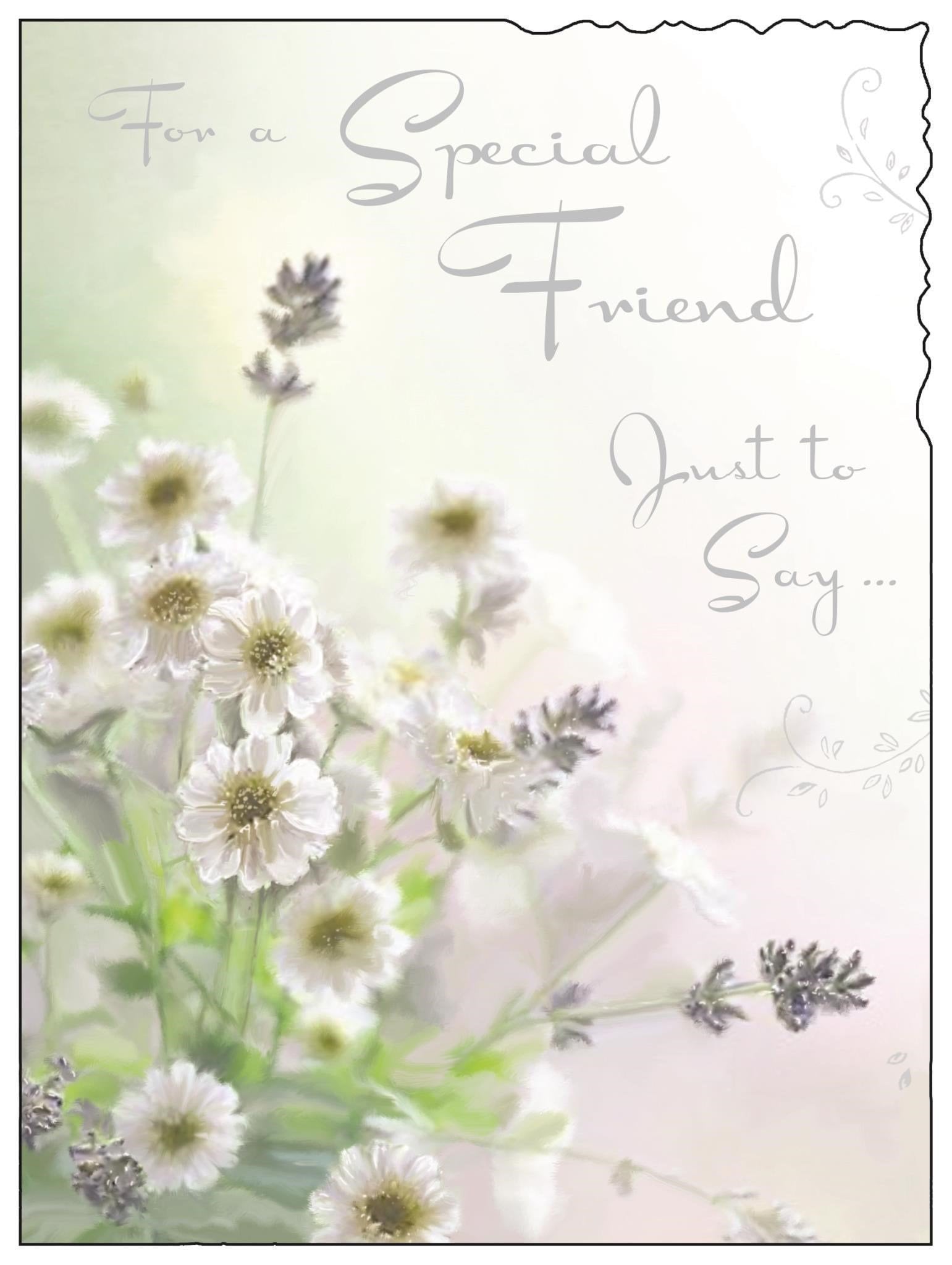 Front of Special Friend Daisy Greetings Card