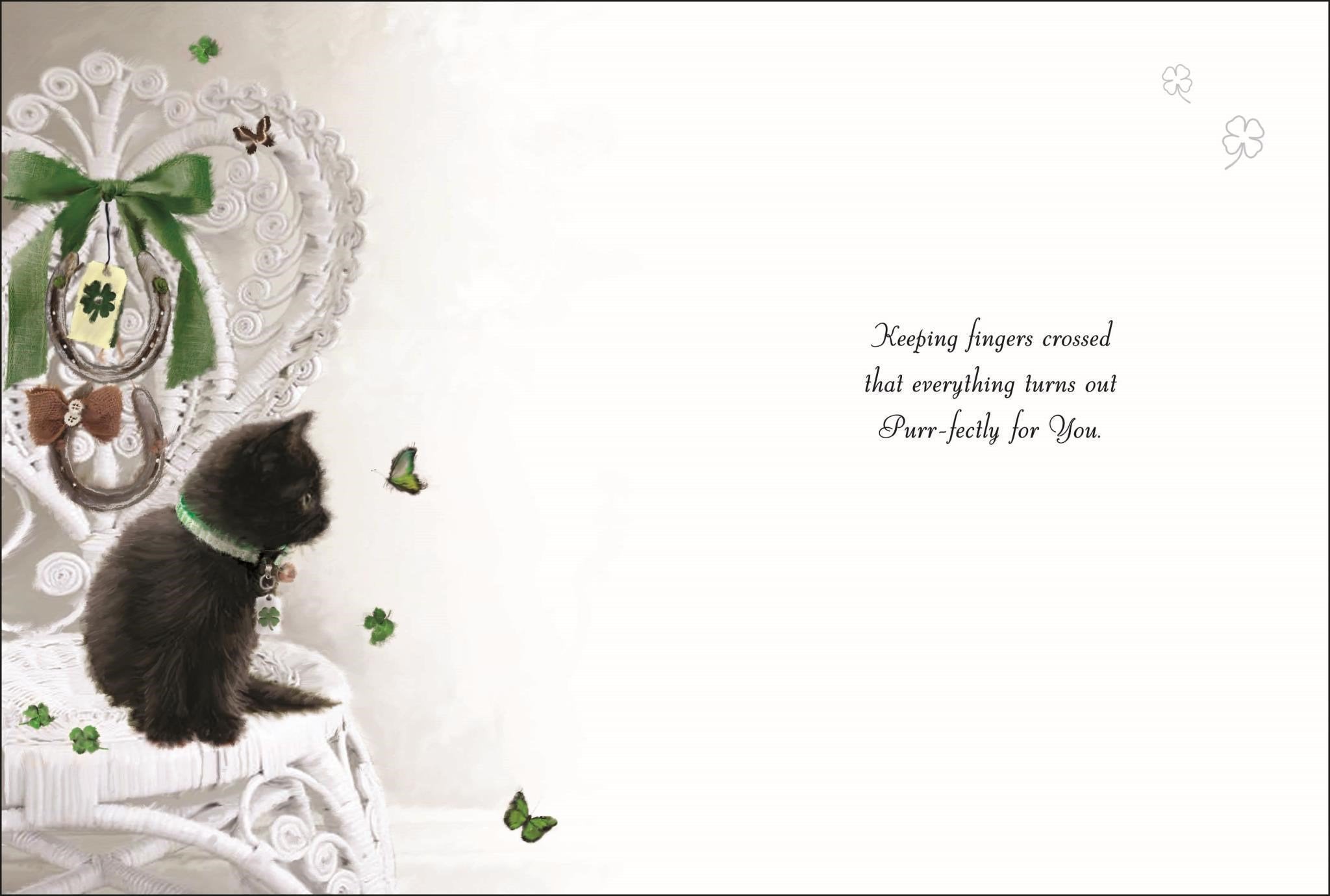 Inside of Good Luck Black Cat Greetings Card