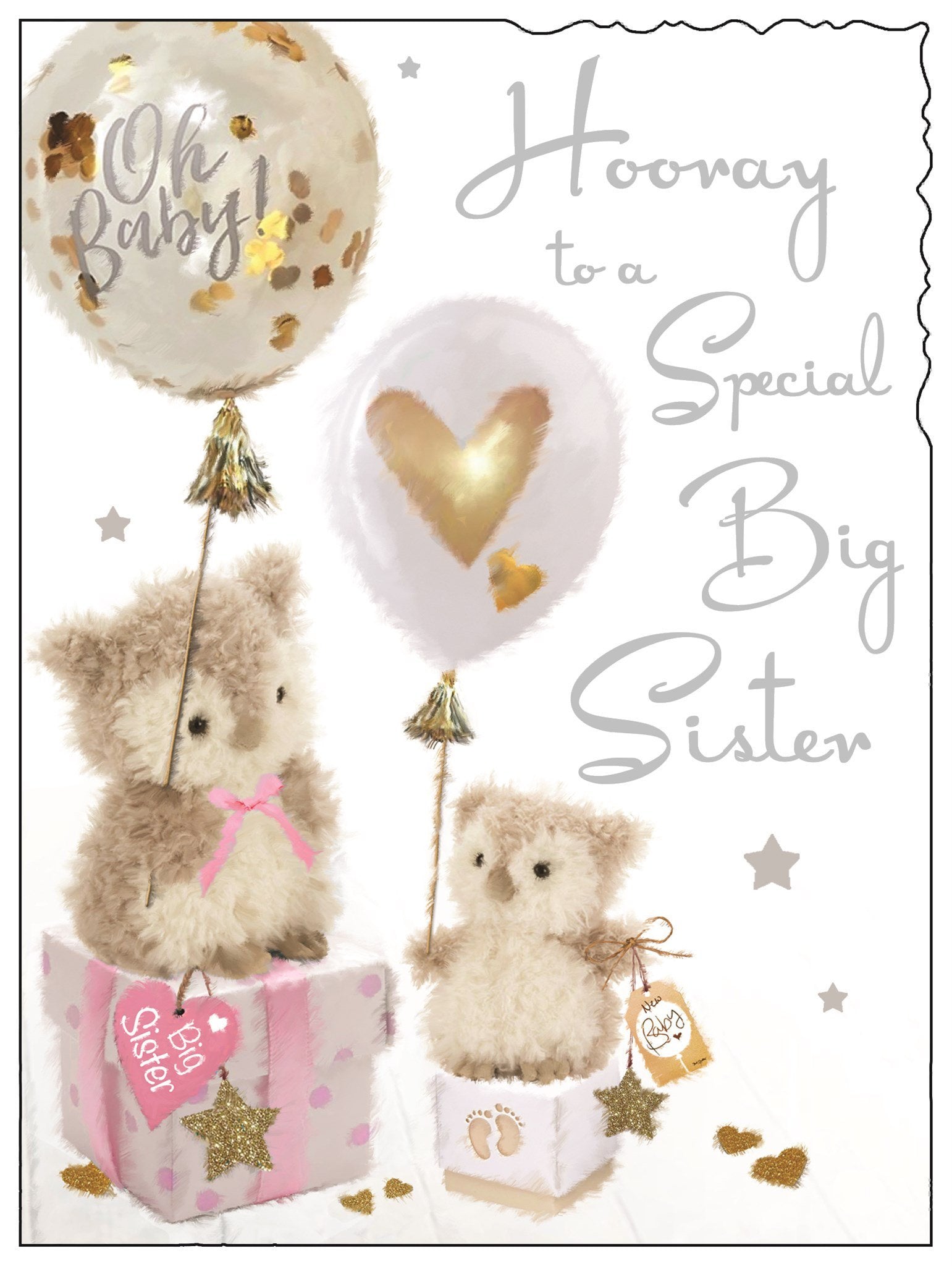 Front of Hooray Special Big Sister Greetings Card