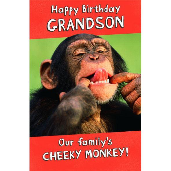 Photo of Birthday Grandson Hum Greetings Card