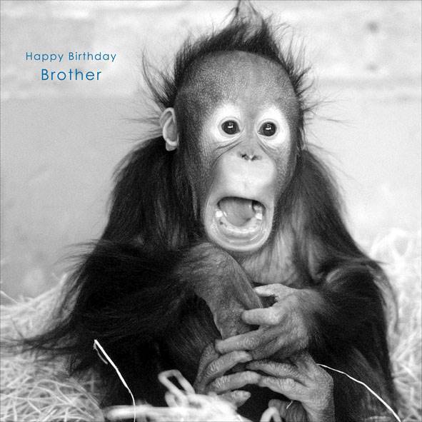 Photo of Birthday Brother Conv Greetings Card