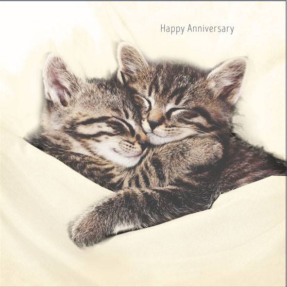 Photo of Anniversary Open Conv Greetings Card