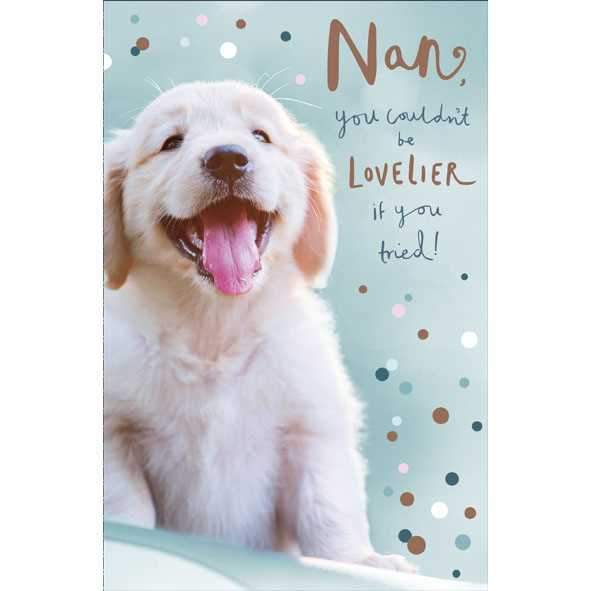 Photo of Birthday Nan Cute Greetings Card