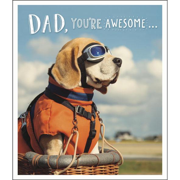 Photo of Birthday Dad Conv Greetings Card